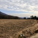 부등 농장 이미지