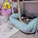 개인화물1209 | 조원동(동탄,광교,부천,성복동,반월동,양평동)고양이분양후기에요~