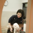 그루그루밍 이미지