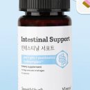 고양이미용연구소 이미지