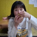 해뜨는집 이미지