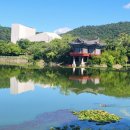 두류공원 이미지