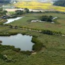 비봉인공습지 이미지