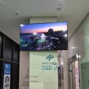 호텔 마리쏠 | 부산 해운대 숙박 조식 가능 해운대호텔 마리쏠 디럭스 트윈 후기