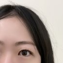 남원주중학교 | [원주] 원주 단구동 비비드유 속눈썹펌 후기｜자연스럽게 또렷해진 눈매