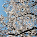 우리슈퍼 이미지