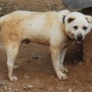 손자농장 이미지