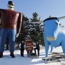 (주)대선전설 이미지