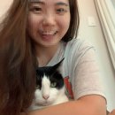 북아현동물병원 | 고양이 건강검진 스케일링 비용 후기 총정리 북아현동물병원 과잉진료 없음