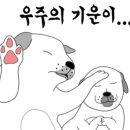늘봄한우 이미지