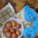 동송사우나 | 철원여행) 철원 동송 찜질방 '플레이미' + 수영장 후기 (내돈내산)