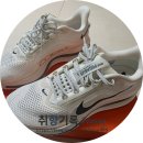 270-2592 | 나이키 페가서스 프리미엄 HQ2592 후기: 나이키 러닝화 끝판왕? 사이즈, 착화감 리뷰