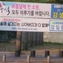 군산결혼상담소 | &#34;결혼과 동시에 부계사회의 노예가 되었구나&#34;