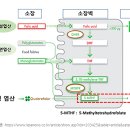 나음약국 이미지