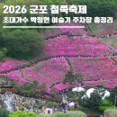 둔전초등학교(유치원포함) | 군포 철쭉축제 2026 기본정보 초대가수 라인업 박정현 이승기 철쭉동산 주차장 총정리