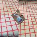 슈슈크린 이미지