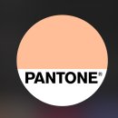 [Pantone] 팬톤 2024 올해의 컬러 'peach fuzz' 이미지