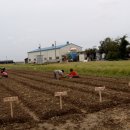 연수네농장 이미지