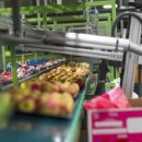 보람바이오(주) 이미지