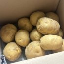 수미패션 - 김천시 중앙시장길 26 | 김박사농산물 수미감자 햇감자 1kg 신선한 감자 후기🥔