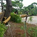 구지농장 이미지