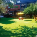 삼시세끼 이미지