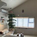 소소행성 | 제주 동쪽 신상 자쿠지 무료 감성 숙소 • 소소행성 소소동