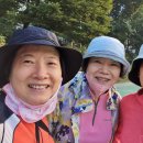 걷기체조 이미지