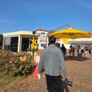 파크사이드관광호텔 | 에코랜드테마파크 제주동쪽 데이트코스 아이와함께 가볼만한곳