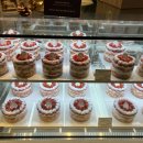 스피드메이트 이마트광주점 이미지