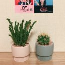윤정다움플라워