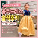 공주세탁 | 공주드레스 후기, 왜 이제 샀나 싶어요 (아이 반응 실화)