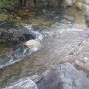 가고픈 둥지펜션 이미지