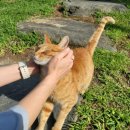 홍천사우나찜질방 이미지