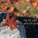사랑한다면