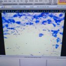 죽전(서울) 이미지