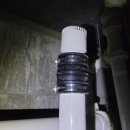 성일2호 이미지