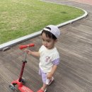 월광농원 이미지