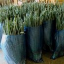 서연농장 이미지