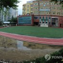 나눔초교 이미지