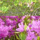 반송동183 이미지