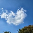 구름산장펜션 | 충북 괴산 보개산장 &amp; 쌍곡계곡, 가을 감성 물씬 여행 후기