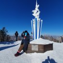 24년송어축제발왕산3 이미지