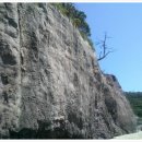 접도수산 이미지