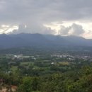 대불농장 이미지