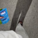 청담유도관 | 3월 일상(2) | 3월 빅이벤트 벚꽃과 유도..