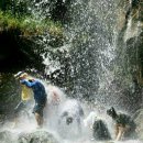 녹조 근정 훈장 (이용상) 이미지