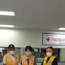 롯데과일 이미지