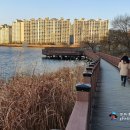 작곡가 박태준 흉상 이미지