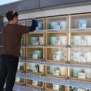 호국원묘역1 이미지